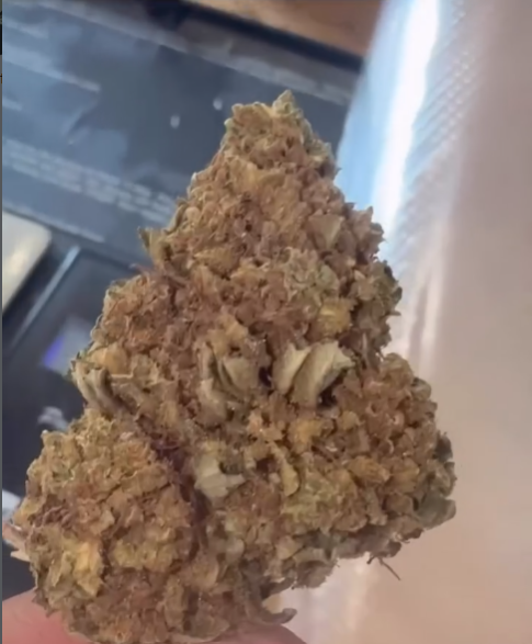 Midwest CBD