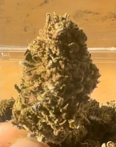 Arizona Dream CBD